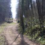 image: Image from the photoset &lsquo;wood (xl)&rsquo;.