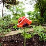 image: Image from the photoset &lsquo;escher blummen (xii)&rsquo;.