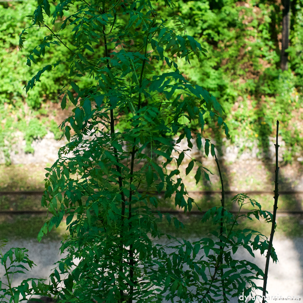 Image 'terres rouges (iii) 8'