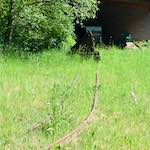 Second image from the photoset 'terres rouges (iii)'.