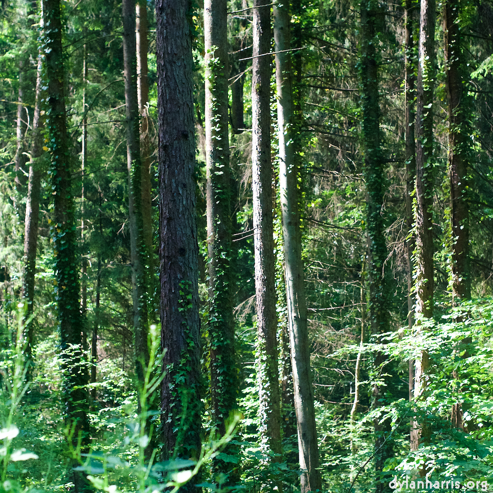 Image: Image 'terres rouges (iv) 2'