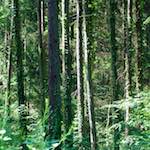 Image: Second image from the photoset 'terres rouges (iv)'.