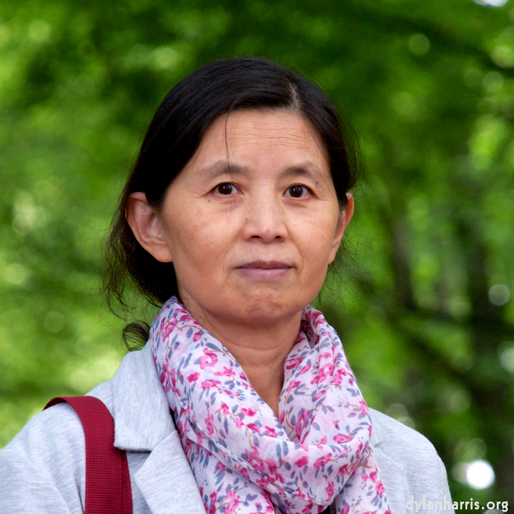 Image 'lana (ii) 1'.