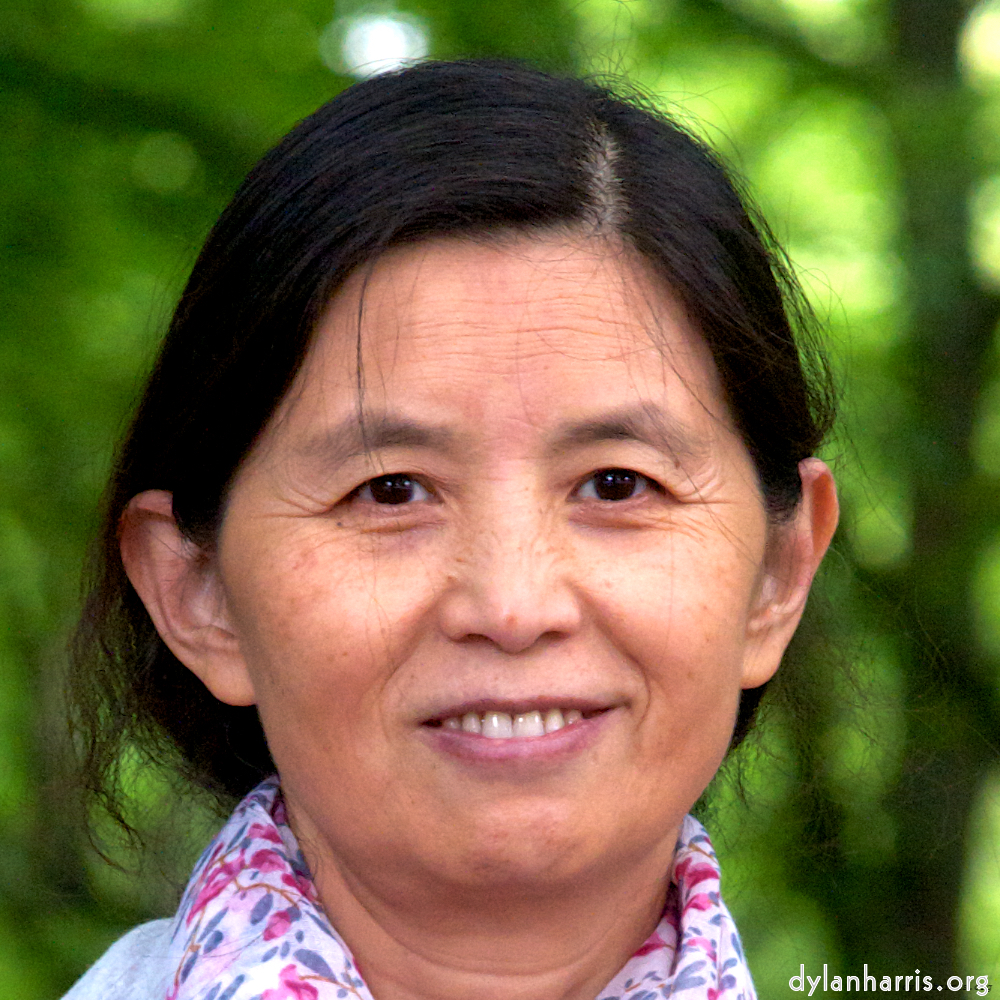 Image 'lana (ii) 3'.