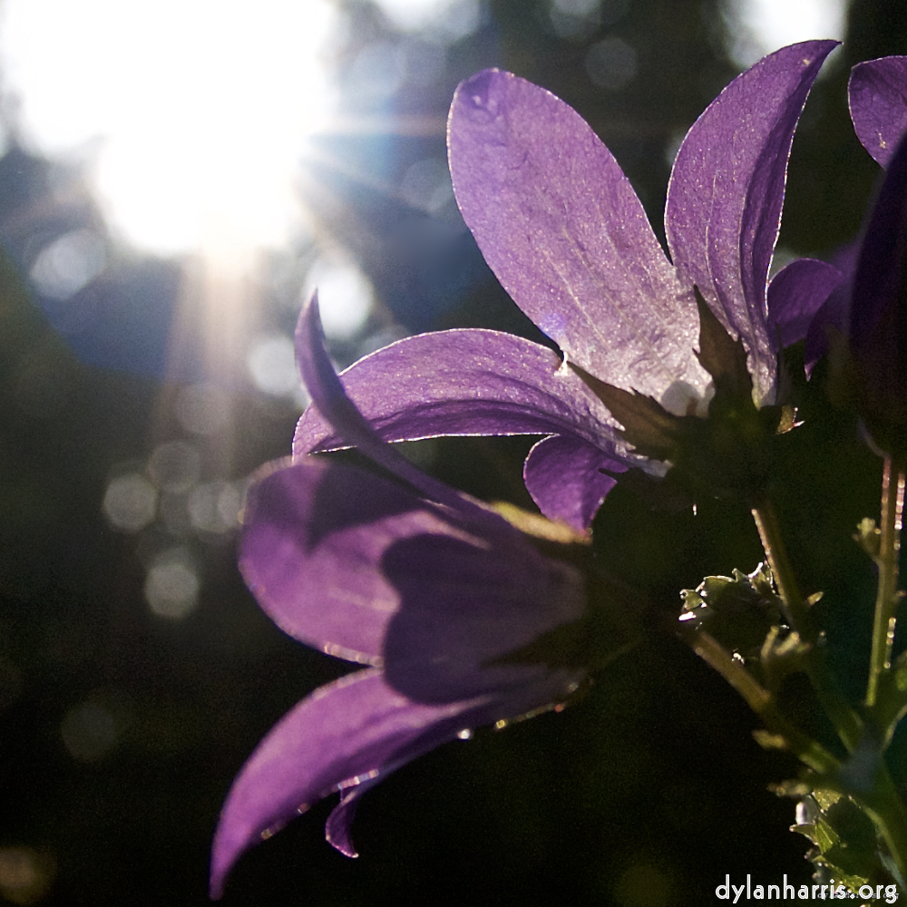 Image: terres rouges