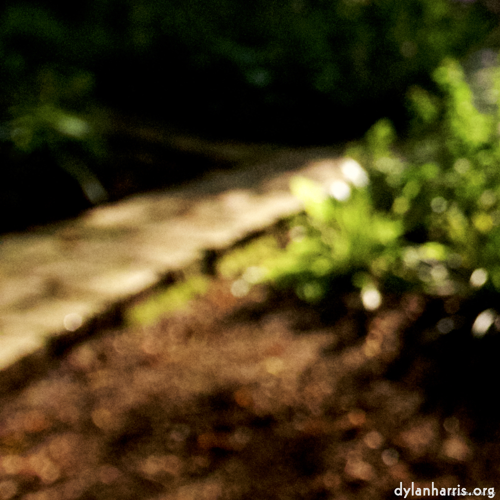 Image: Image 'parc (xxi) 2'.