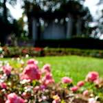 Image: Fourth image from the photoset 'parc (xxi)'.