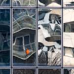 Fourth image from the photoset 'la d&eacute;fense (xxiii)'.