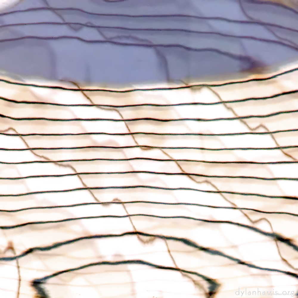 Image 'la d&eacute;fense (xxiv) 11'.