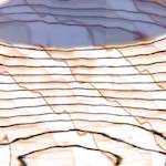 Eleventh image from the photoset 'la d&eacute;fense (xxiv)'.