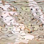 Third image from the photoset 'la d&eacute;fense (xxiv)'.