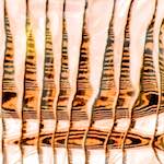 Ninth image from the photoset 'la d&eacute;fense (xxiv)'.