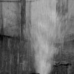 Fifth image from the photoset 'parc (iii)'.