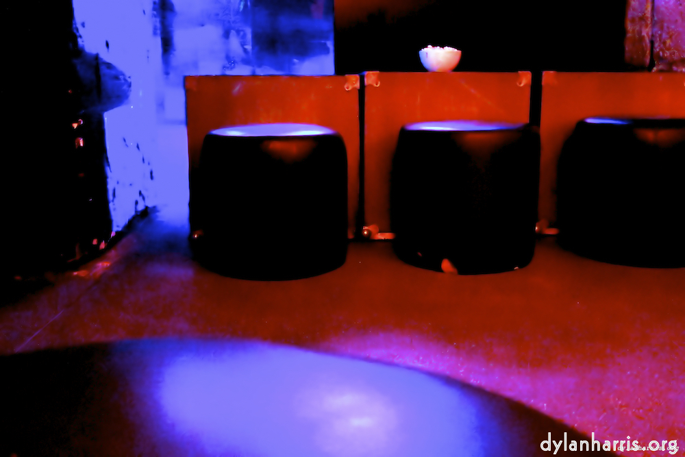 Image: Image 'polyglot 2'.