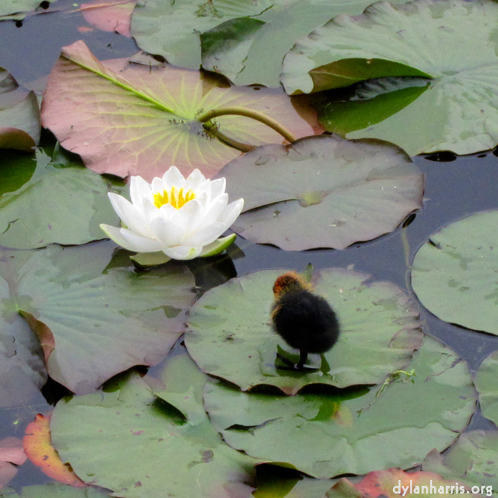 Image 'eindhoven (ix) 3'.