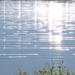 Second image from the photoset 'eindhoven (ix)'.