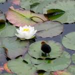 Third image from the photoset 'eindhoven (ix)'.