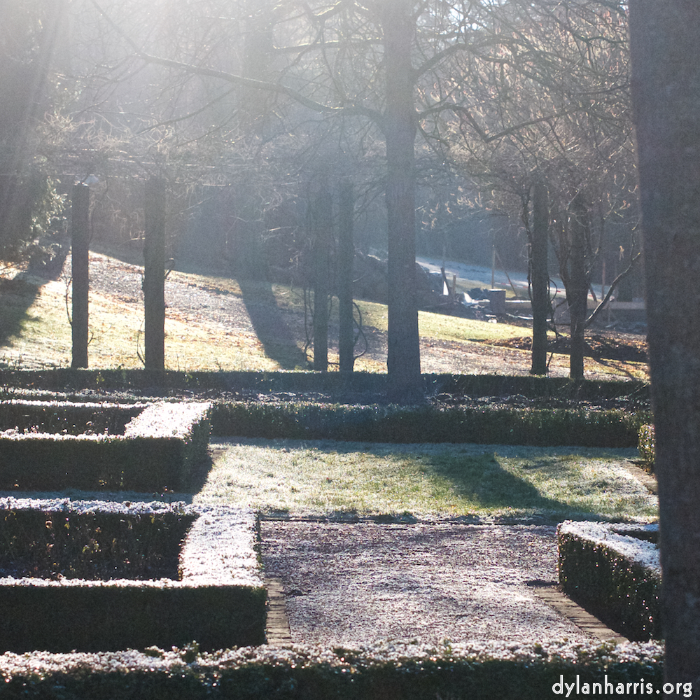 Image 'esch&ndash;sur&ndash;alzette (ix) 2', at Escher D&eacute;ierepark, head and torso of a doe.