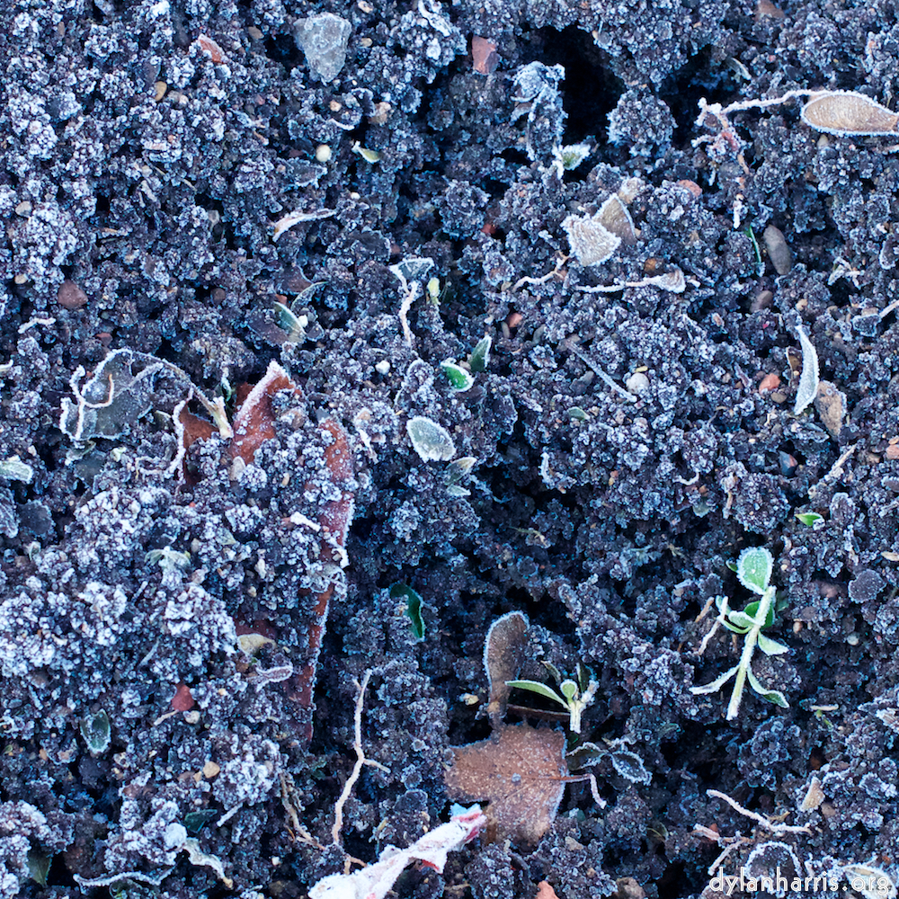 Image 'esch&ndash;sur&ndash;alzette (ix) 3', at Escher D&eacute;ierepark, the head and crest of a chicken.