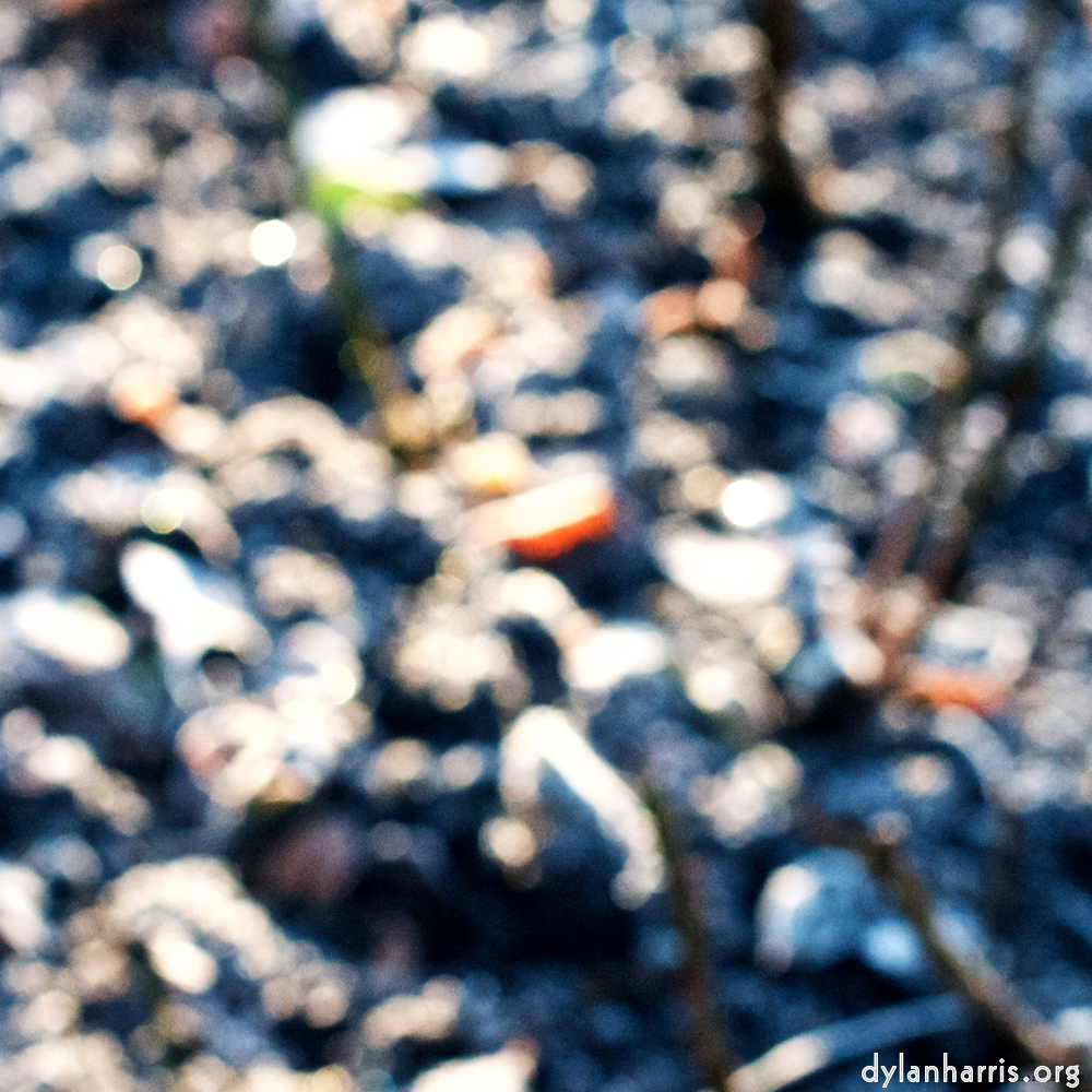 Image 'esch&ndash;sur&ndash;alzette (ix) 4', at Escher D&eacute;ierepark, a doe realises I&rsquo;ve no treats.