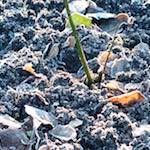 First image of Escher D&eacute;ierepark, from the photoset 'esch&ndash;sur&ndash;alzette (ix)'.