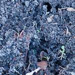 Third image of Escher D&eacute;ierepark, from the photoset 'esch&ndash;sur&ndash;alzette (ix)'.