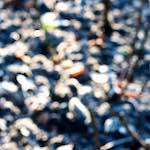 Fourth image of Escher D&eacute;ierepark, from the photoset 'esch&ndash;sur&ndash;alzette (ix)'.