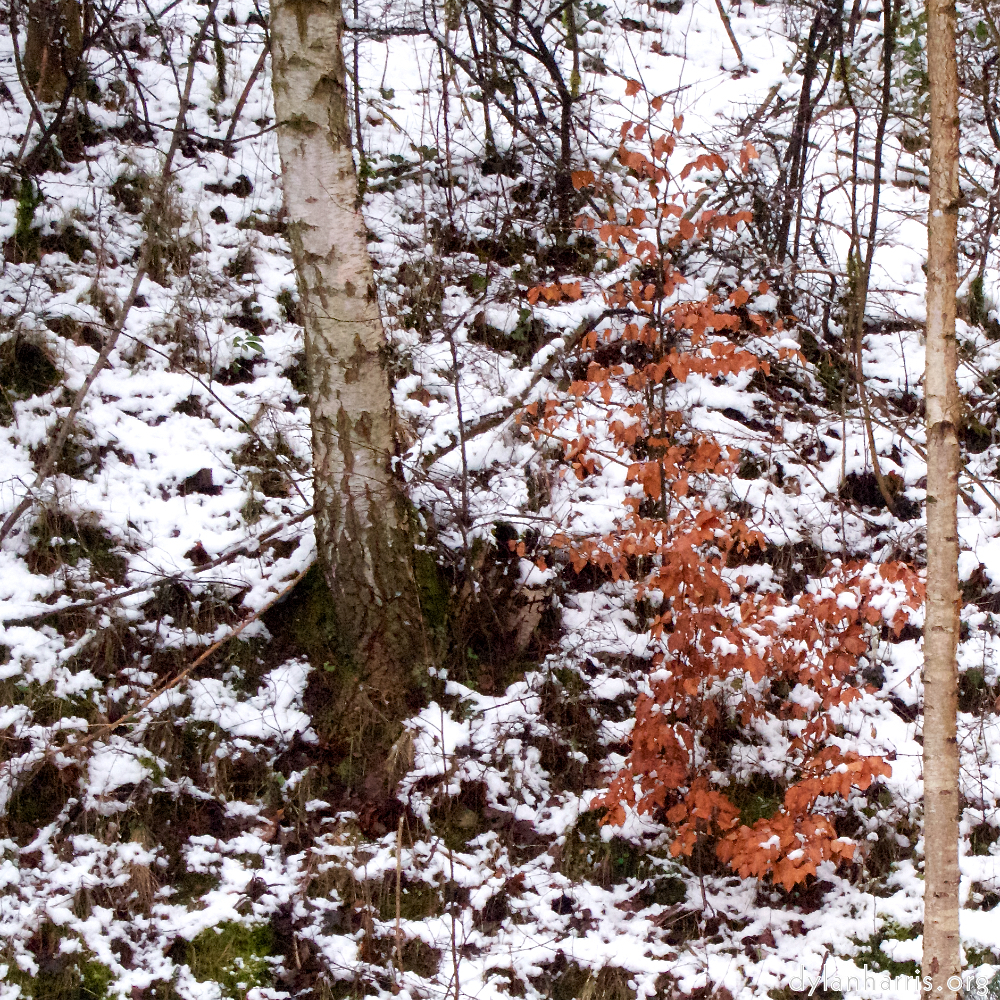 Image 'way to work (v) 3'.