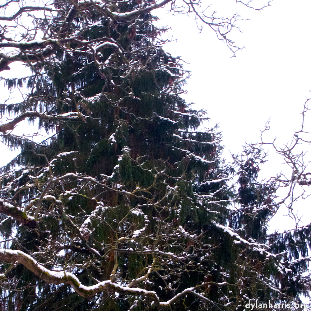 Image: Image 'way to work (v) 5'.