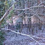 First image from the photoset 'way to work (v)'.