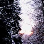 Second image from the photoset 'way to work (v)'.