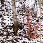 Third image from the photoset 'way to work (v)'.