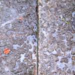 Fourth image from the photoset 'way to work (v)'.