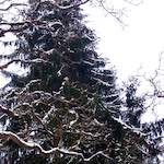 Fifth image from the photoset 'way to work (v)'.