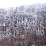 Sixth image from the photoset 'way to work (v)'.