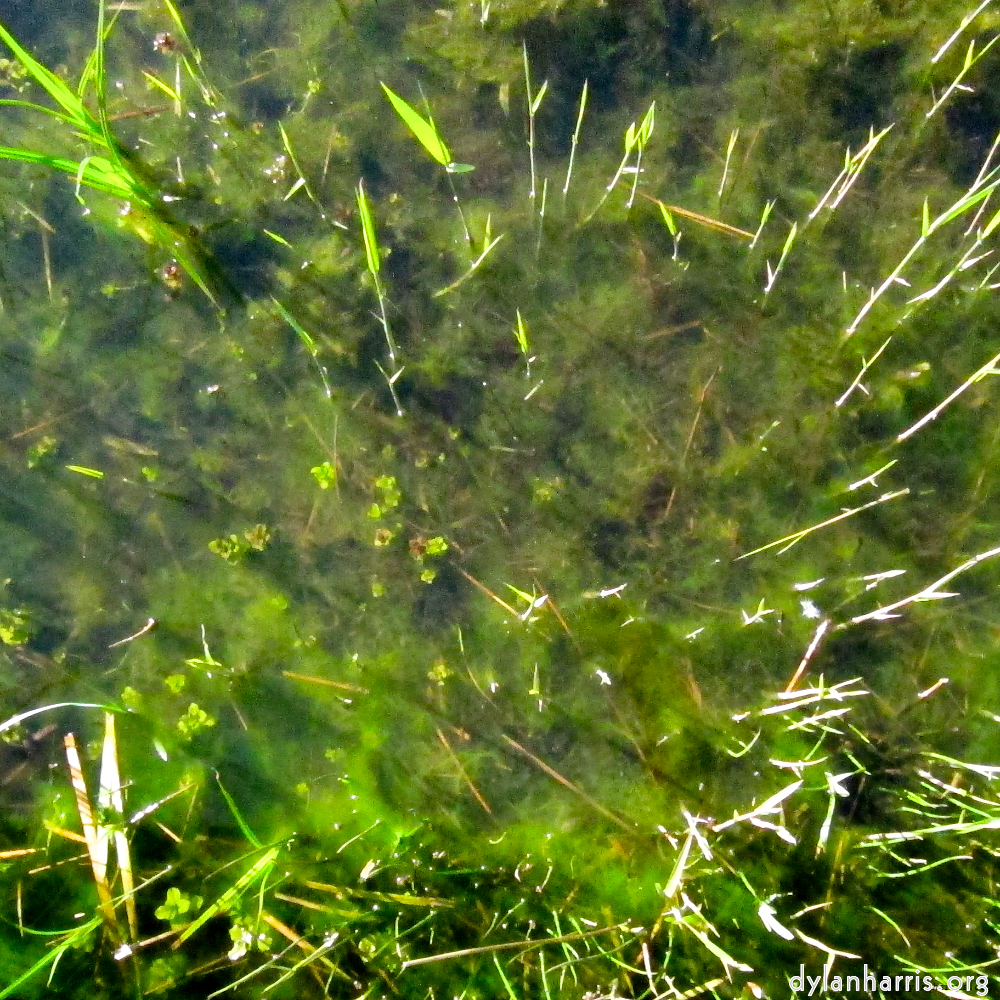 Image 'eindhoven (v) 1'.