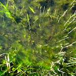 First image from the photoset 'eindhoven (v)'.