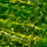 Third image from the photoset 'eindhoven (v)'.