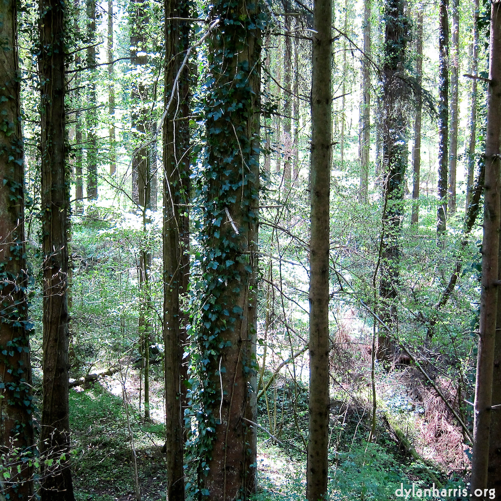 image: Image 'terres rouges (i) 1'