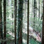 image: Image from the photoset &lsquo;terres rouges (i)&rsquo;.