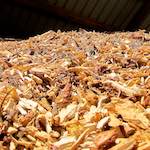 image: Image from the photoset &lsquo;terres rouges (i)&rsquo;.