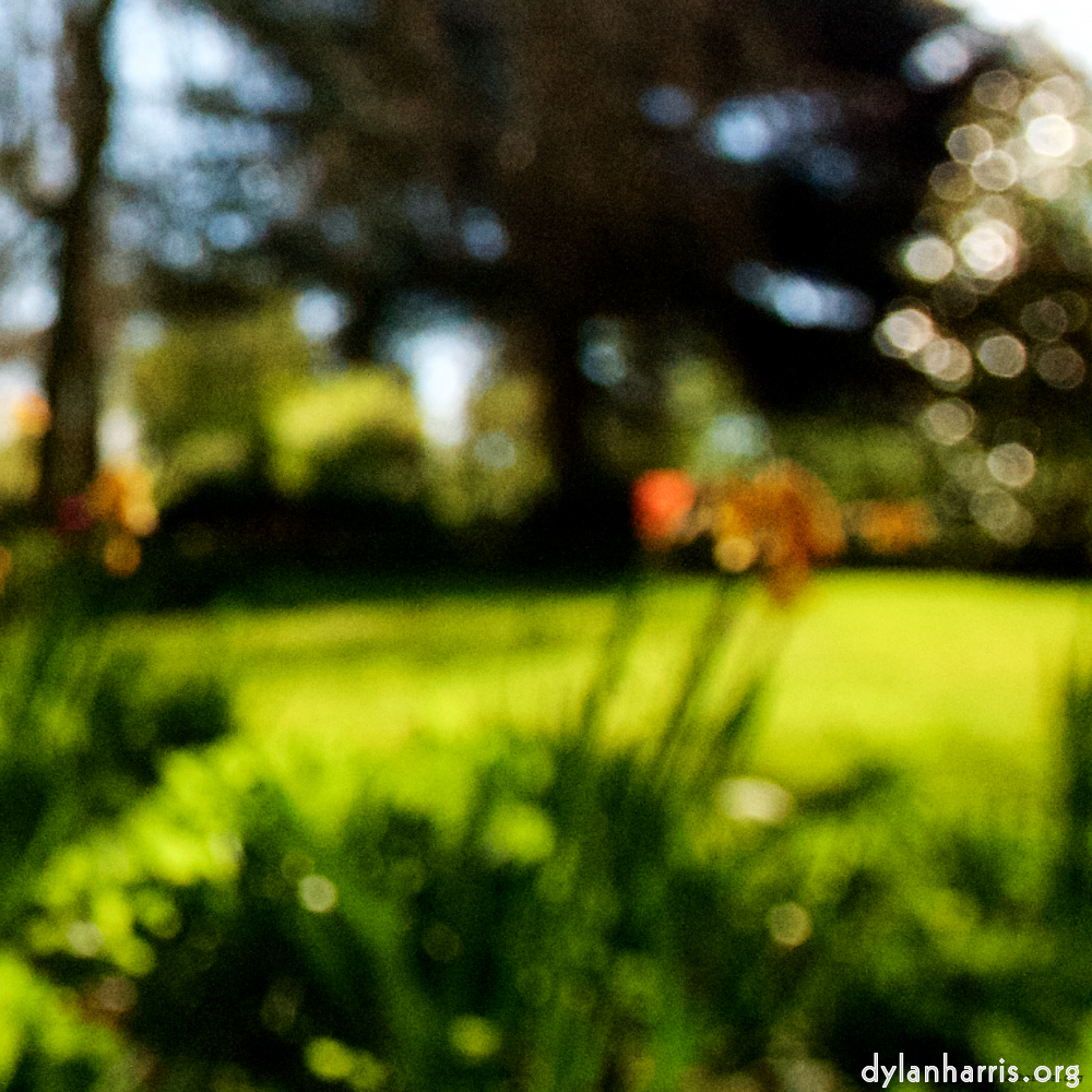 Image: Image 'escher blummen (liv) 2'.