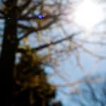 Image: Fifth image from the photoset 'escher blummen (lv)'.