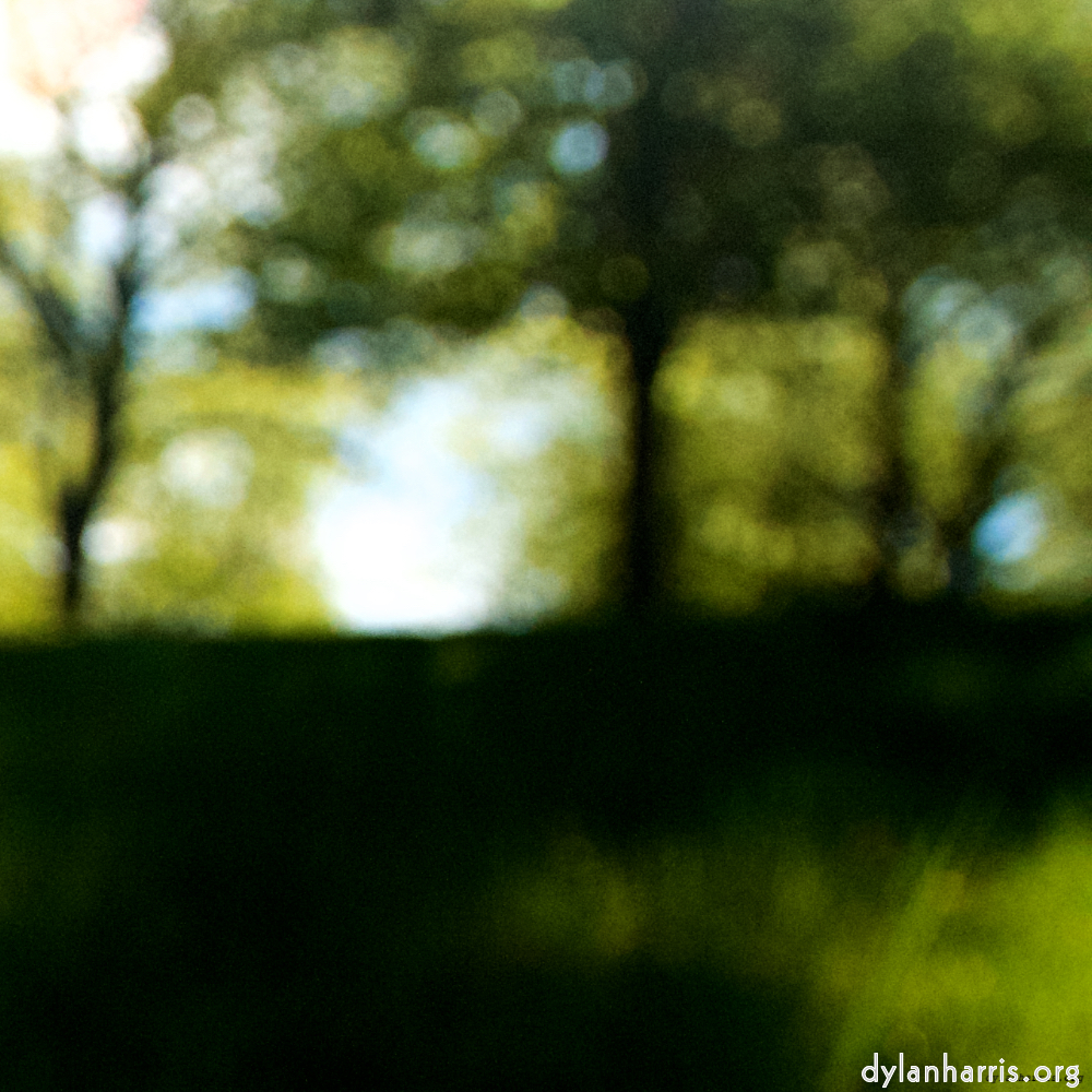 Image: Image 'escher blummen (lviii) 1'.