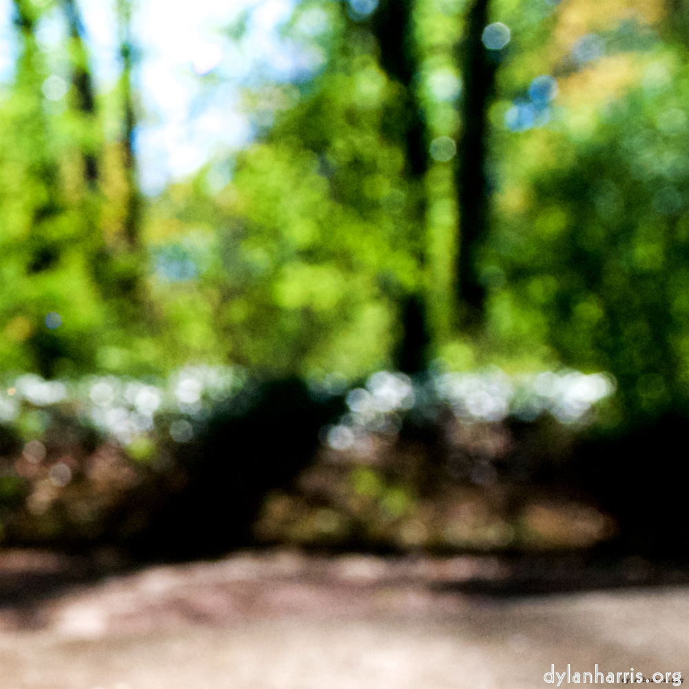 Image: Image 'escher blummen (lviii) 3'.