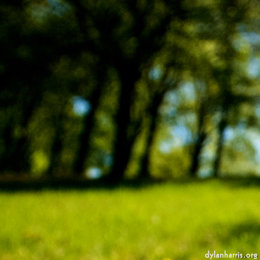 Image: Image 'escher blummen (lviii) 5'.