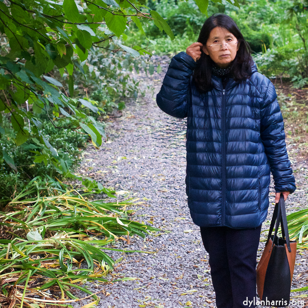 Image: Image 'L (vii) 10'.