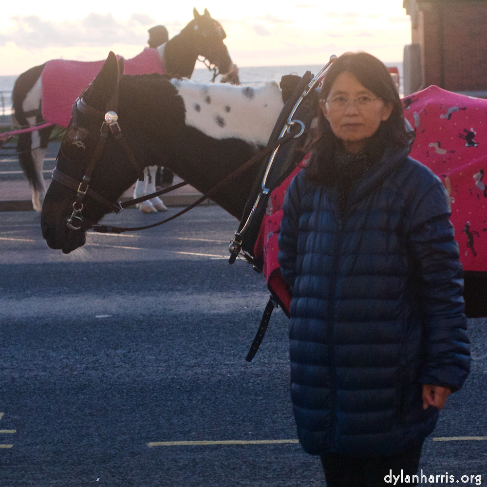 Image: Image 'L (vii) 2'.