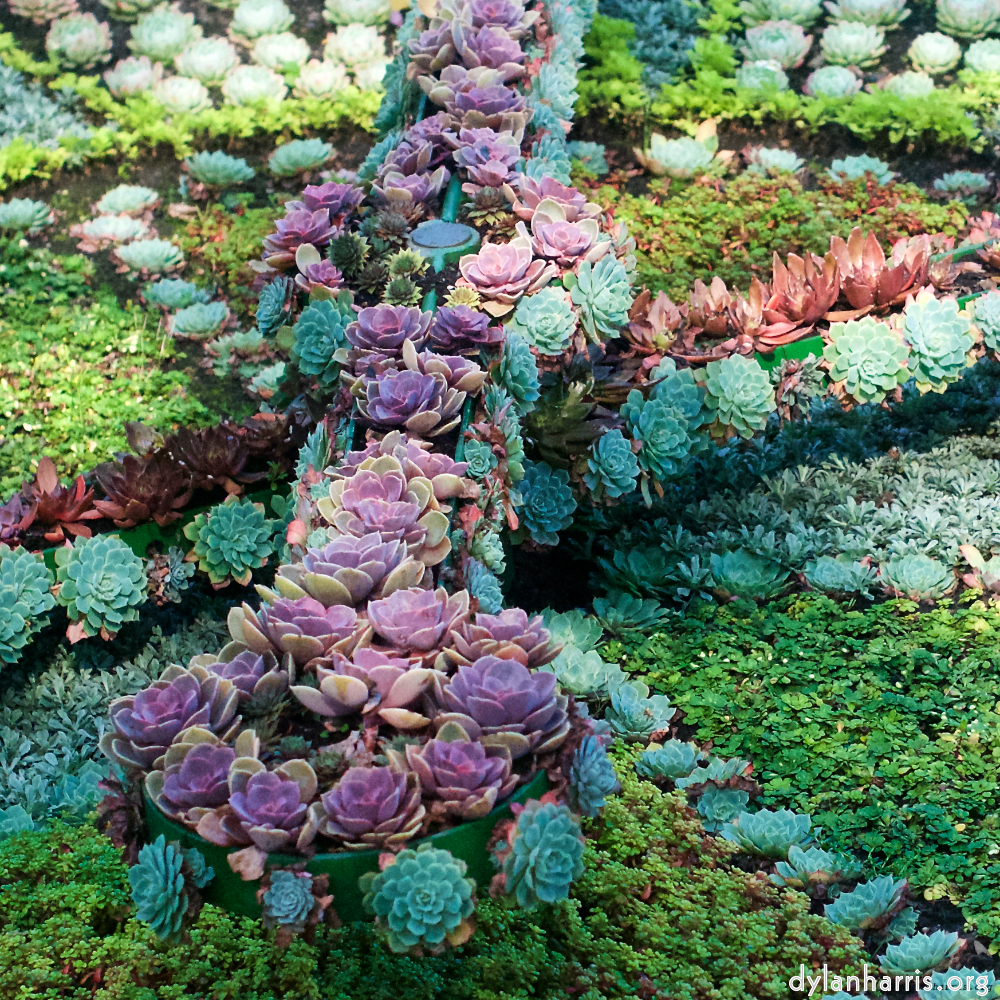 Image: Image 'flower (vi) 4'.