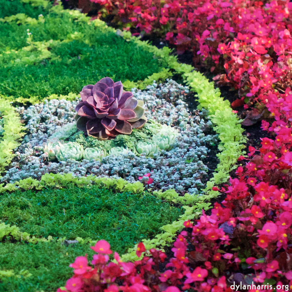 Image: Image 'flower (vi) 5'.